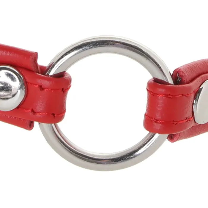 pink cherry XR Brands Master Series Fiery Pet Slim Choker in Red Dildos pink cherry XR Brands Master Series Fiery Pet Slim Choker in Red Dildos