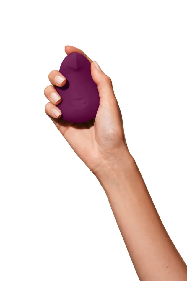 Pom Plum Dame Vibrators