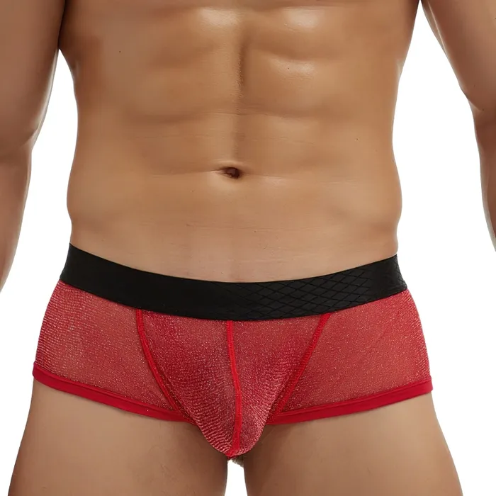 Male Sex Toys EVEs SECRETS Mens Sexy Transparent Underwear UltraThin Low Waist Boxer Briefs Male Mesh Panties