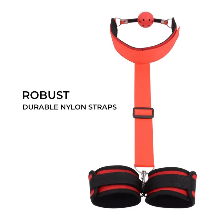 Tease and Tether BDSM Restraints FRISKY BUSINESS SG Vibrators